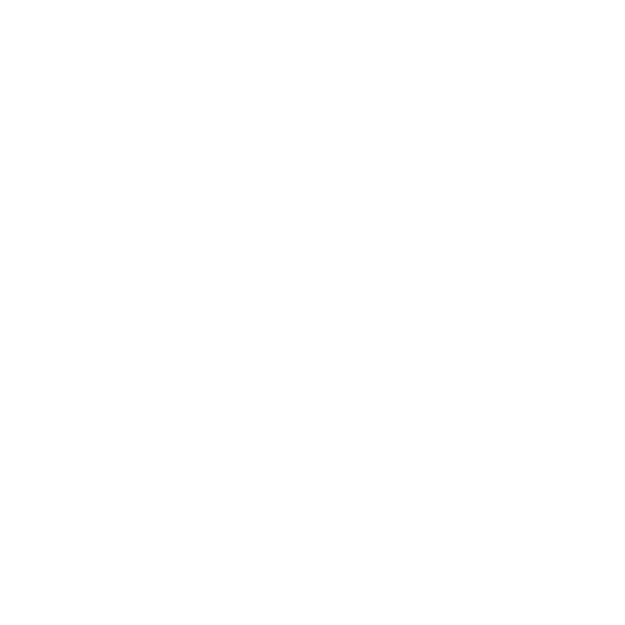 Daily report